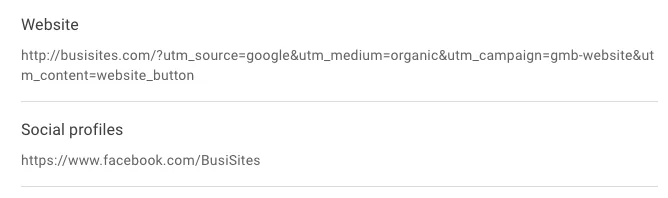 google business profile website section